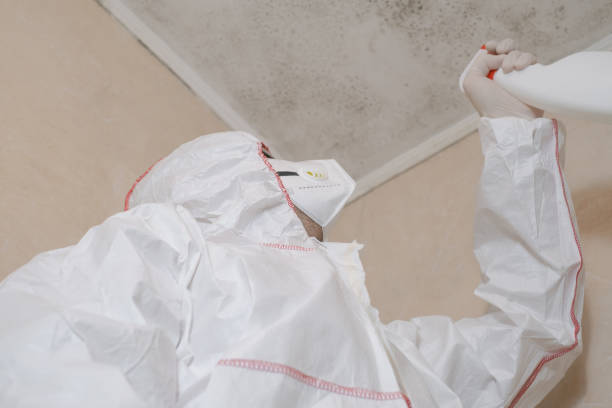 Best Mold Testing  in Wyanet, IL